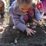 BJ Garlic Donates to Queens Botanical Garden