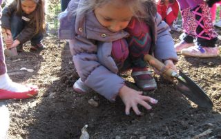 BJ-Garlic-Donates-to-Queens-Botanical-Garden-1 BJ Garlic Donates to Queens Botanical Garden