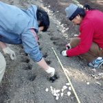 BJ Garlic Donates to Queens Botanical Garden