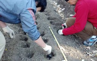 BJ-Garlic-Donates-to-Queens-Botanical-Garden-4 BJ Garlic Donates to Queens Botanical Garden